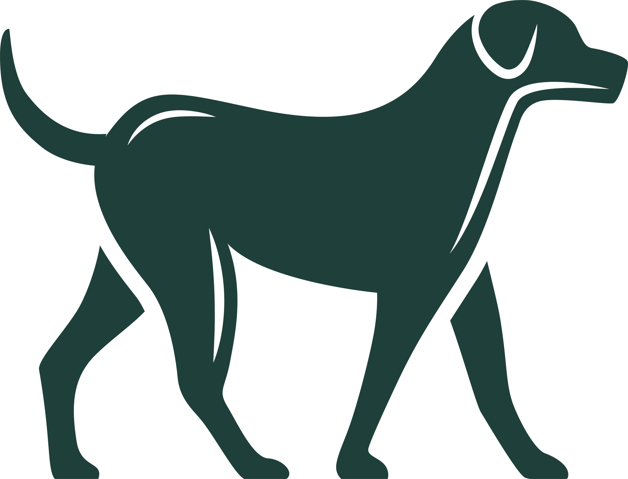 How To Optimize Your Tails Age For Maximum Benefits - lpj3vmz